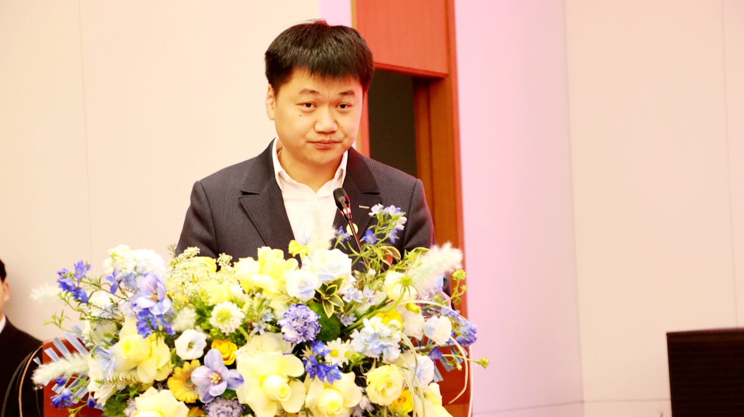 三期内必开一期资料