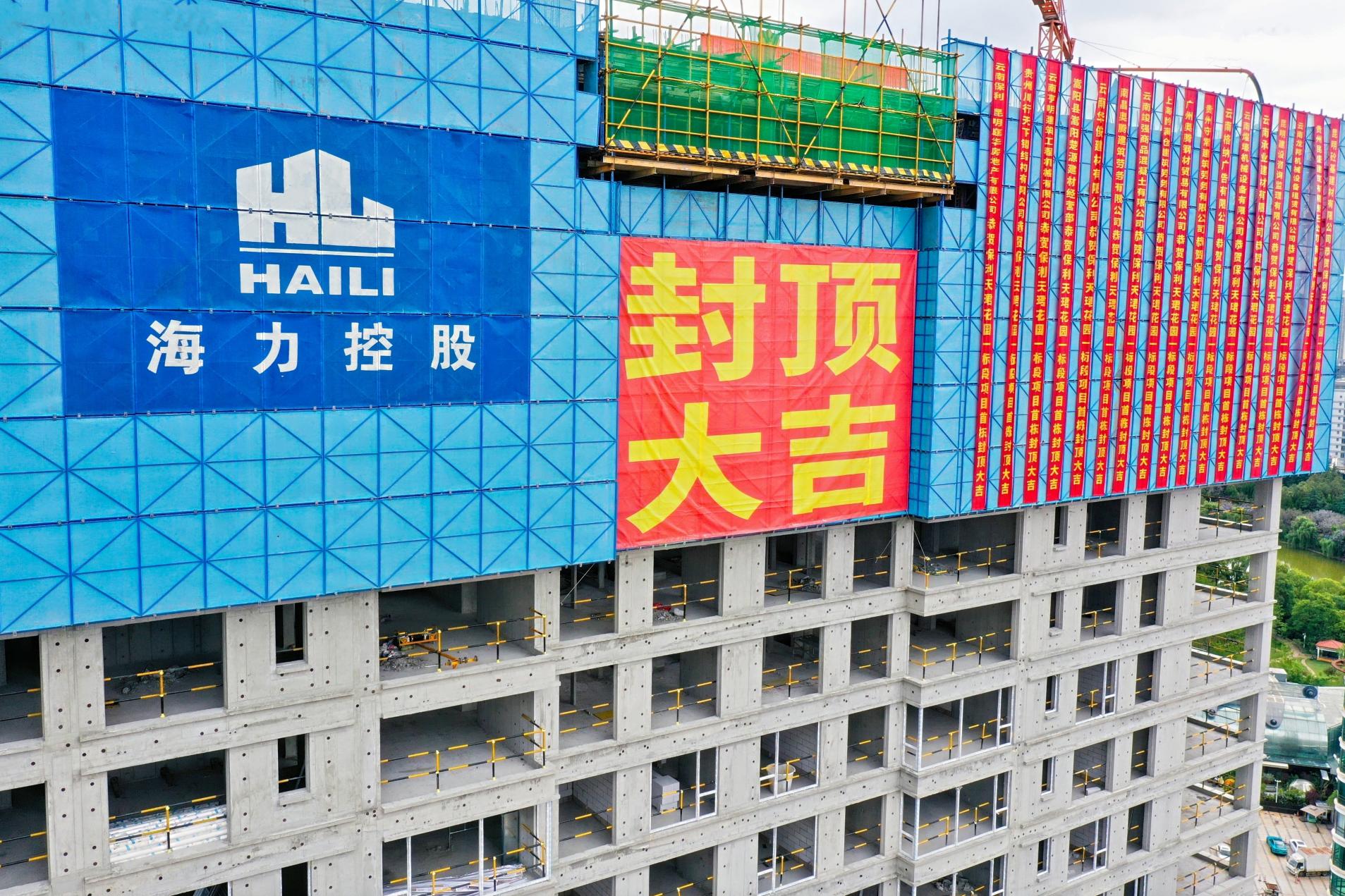 三期内必开一期资料