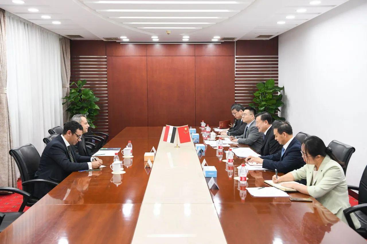三期内必开一期资料